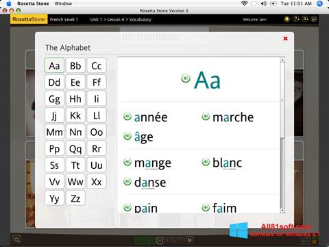 Screenshot Rosetta Stone Windows 8.1