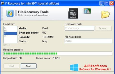 Screenshot F-Recovery SD Windows 8.1