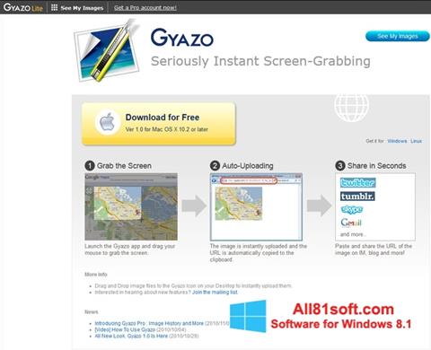Screenshot Gyazo Windows 8.1