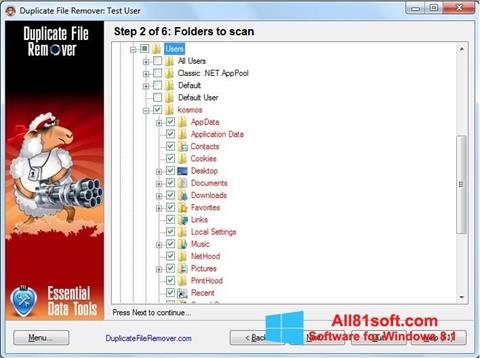 Screenshot Duplicate File Remover Windows 8.1