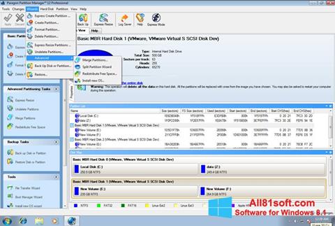 Screenshot Paragon Partition Manager Windows 8.1