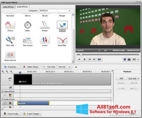 Screenshot AVS Video Converter Windows 8.1