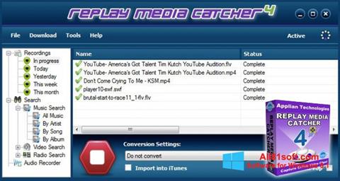 replay media catcher 6 serial number