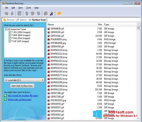 Screenshot Pandora Recovery Windows 8.1