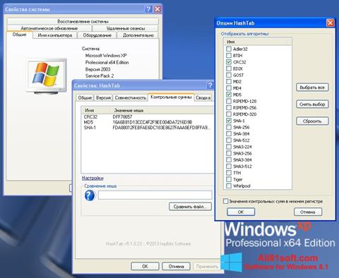 Screenshot HashTab Windows 8.1